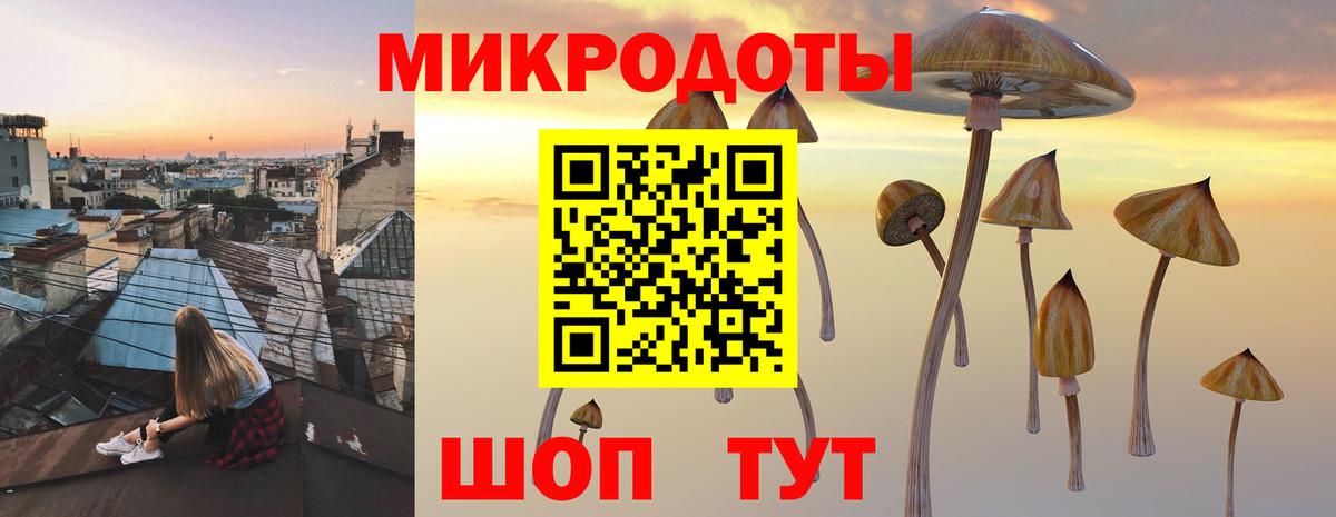 Псилоцибиновые грибы мухоморы  Вход с VPN  где найти наркотики  Черногорск 